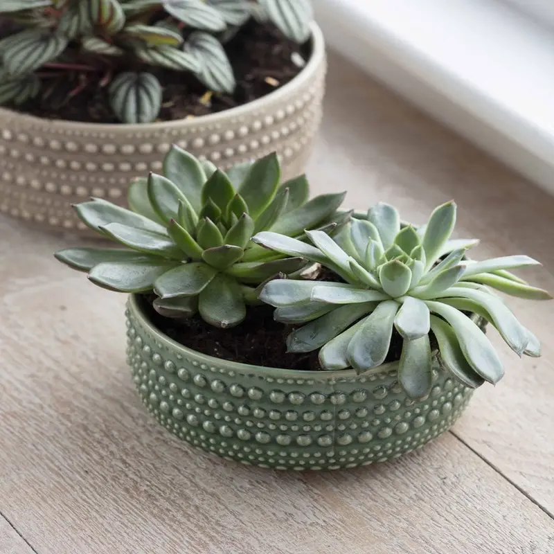 Castello Bowl | Green