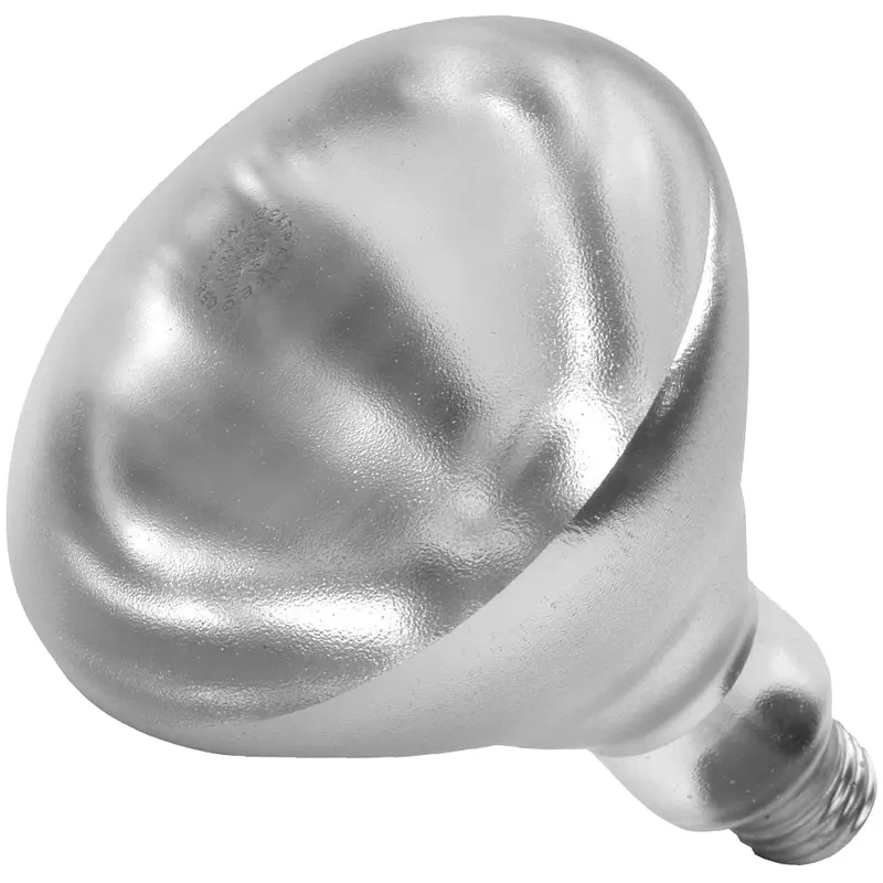 01697W Shat-R-Shield Bulb Lamp Heat Clear