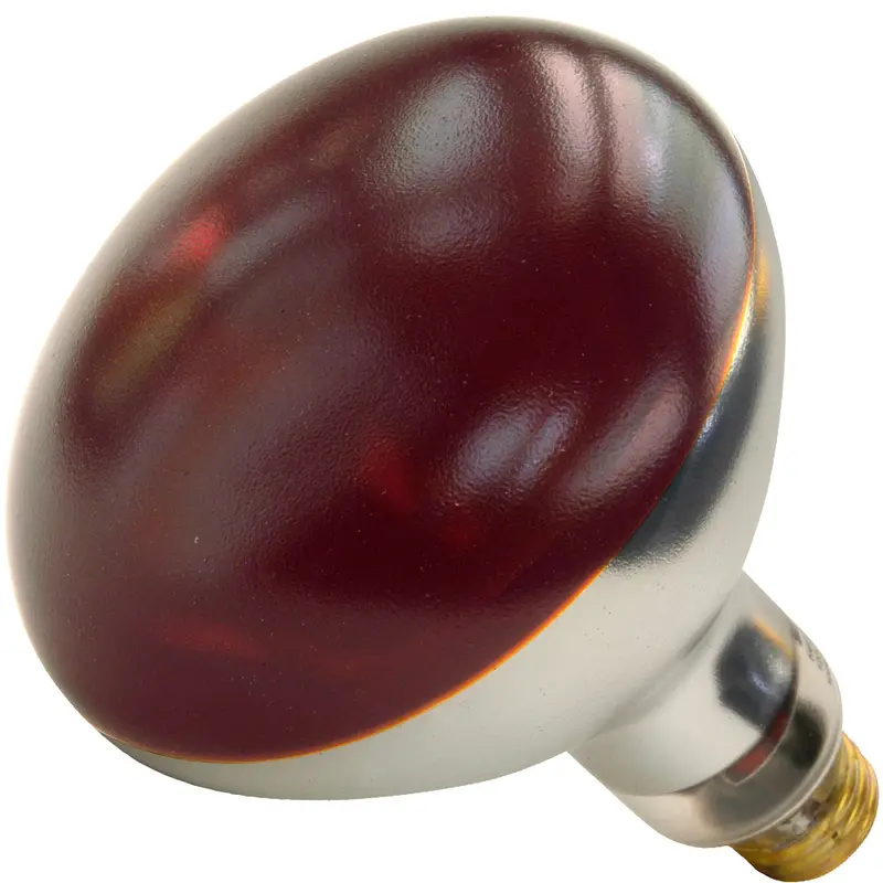 01699W Shat-R-Shield Bulb Lamp Heat Red
