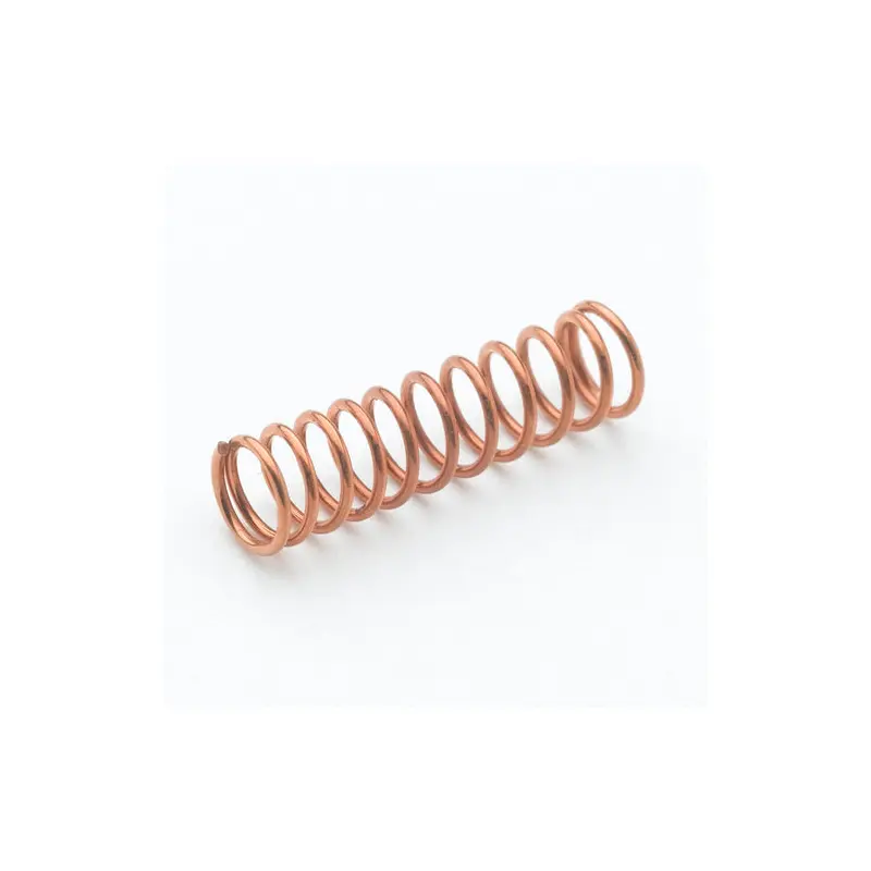 001479-45 T&S Brass Spring with Spring Check For Eterna Cartridges