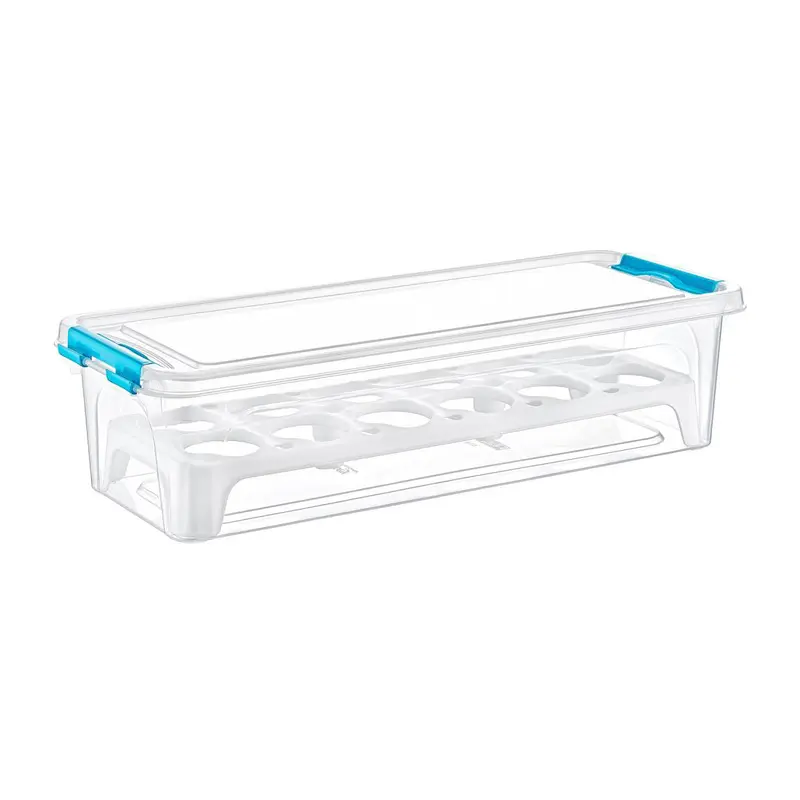 12 EGG STORAGE CONTAINER